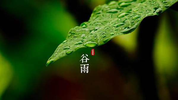 谷雨是什么意思