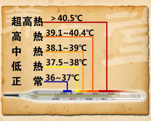 体温正常值范围是多少