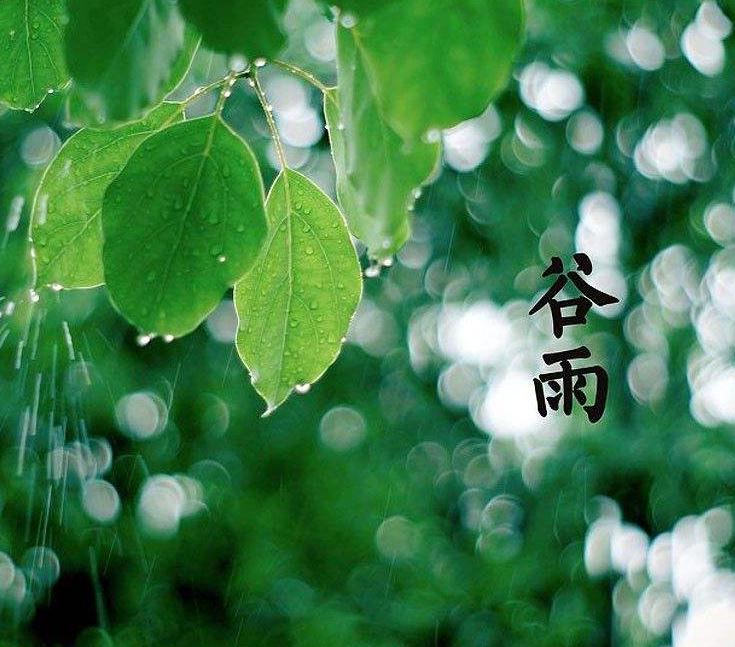 谷雨节气的说法有哪些