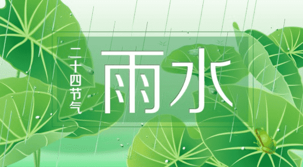 雨水节气养生应吃什么食物