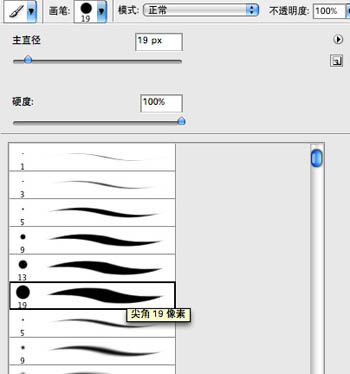 PS鼠绘梦幻仙子(15)