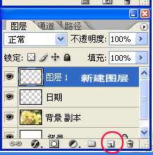 Photoshop制作简单2008年花卉日历(8)