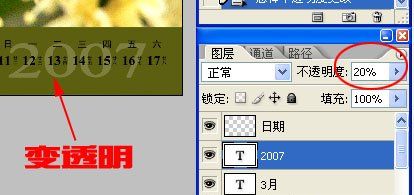 Photoshop制作简单2008年花卉日历(11)