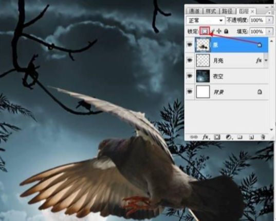 Photoshop照片合成教程:黑夜中飞翔的鸽子(13)
