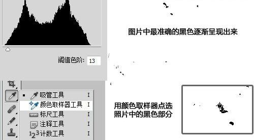 ps用曲线修正灰蒙蒙花朵图片(4)