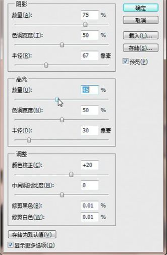 ps修复严重曝光不足的偏黑照片(7)