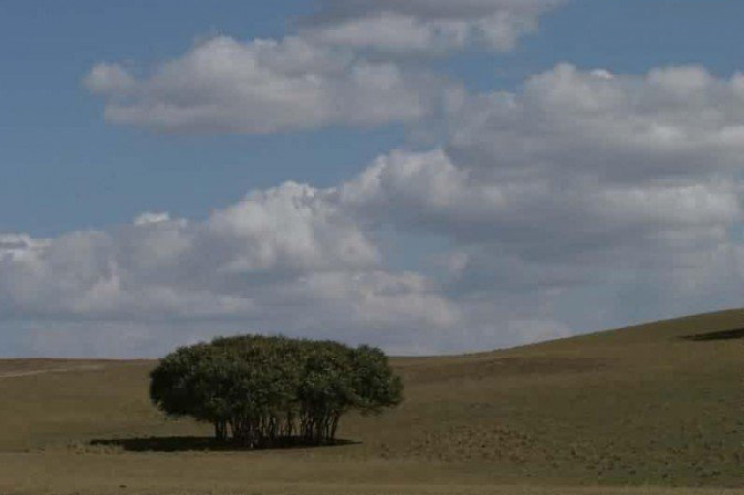 ps校正灰蒙蒙的大坝风景(1)