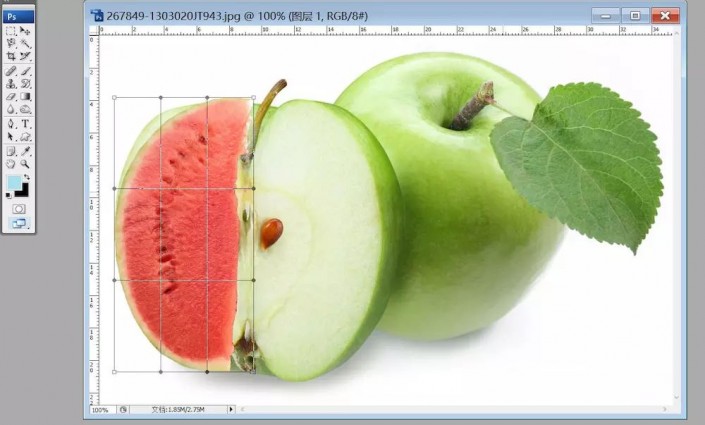 如何用ps把西瓜嫁接到苹果上(6)