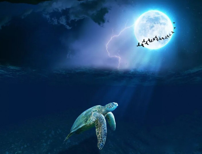 PS合成深海海龟的夜游旅行