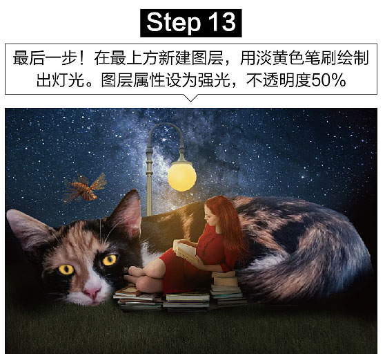 PS合成女孩和猫咪星空下阅读场景(13)