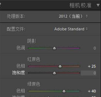 PS调出人像古典柔光效果(10)