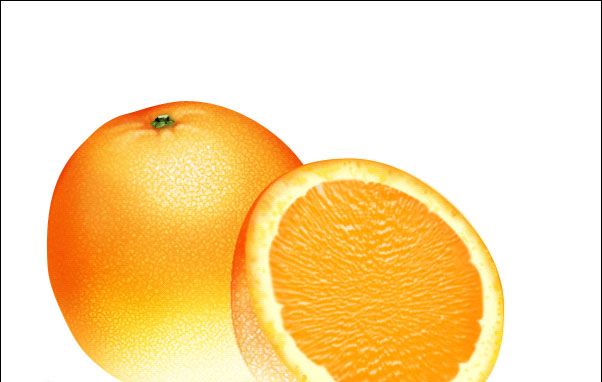 PS绘制鲜美的橙子(31)