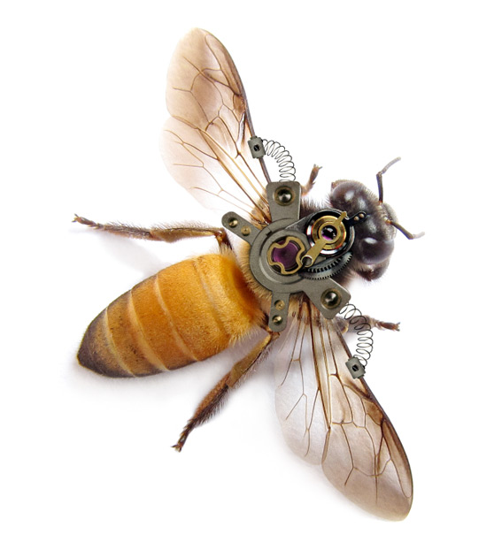 ps合成一只机械蜜蜂教程(9)