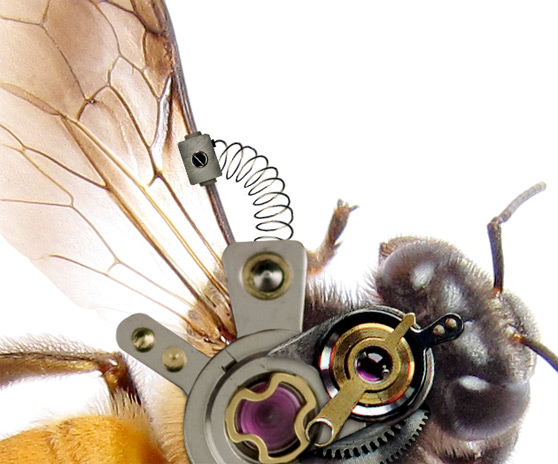 ps合成一只机械蜜蜂教程(5)
