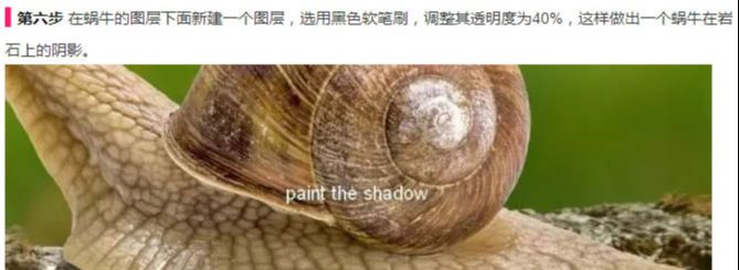 ps合成背上长草的蜗牛图片(11)