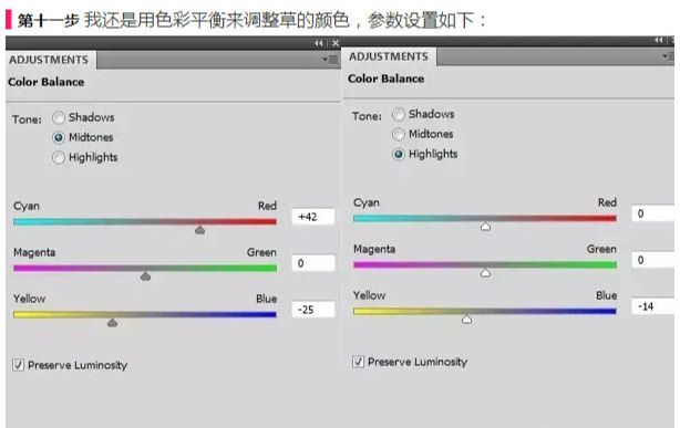 ps合成背上长草的蜗牛图片(21)