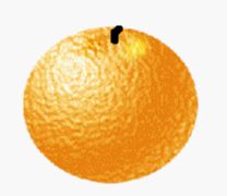 用PS滤镜制作橙子-PS滤镜使用(13)