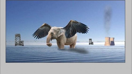 photoshop合成教程:带翅膀的大象(26)