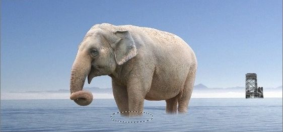 photoshop合成教程:带翅膀的大象(19)