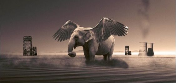 photoshop合成教程:带翅膀的大象