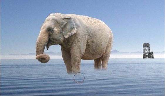 photoshop合成教程:带翅膀的大象(17)