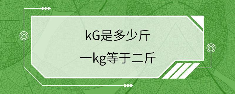 kG是多少斤 一kg等于二斤