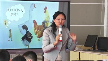 《7 小动物找妈妈》课堂教学视频实录-青岛2017版小学科学一年级下册