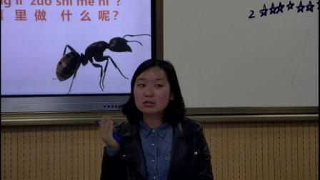 《8.养蚂蚁》优质课课堂展示视频-苏教2017版小学科学二年级下册
