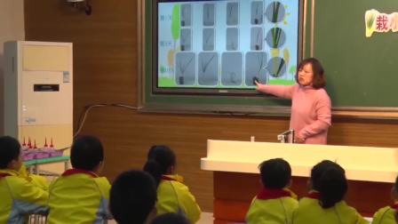 《7.栽小葱》教学视频实录-苏教2017版小学科学二年级下册