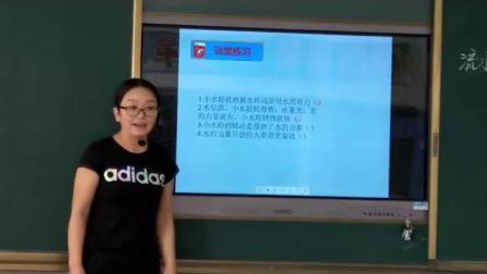 《专项学习 像科学家那样》优质课教学视频-苏教2017版小学科学一年级下册