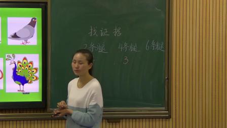 《准备单元 分工合作找证据》优质课评比视频-大象2017版小学科学一年级下册