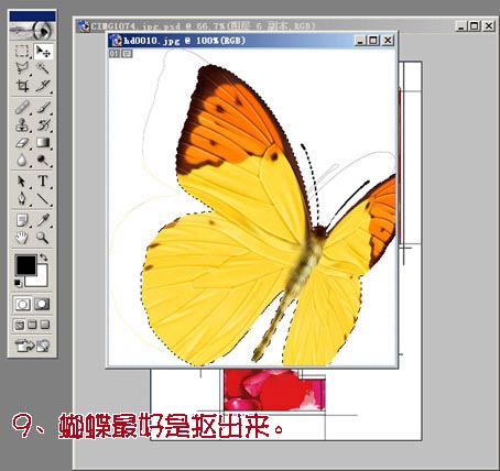 PS制作花开花落签名图(11)