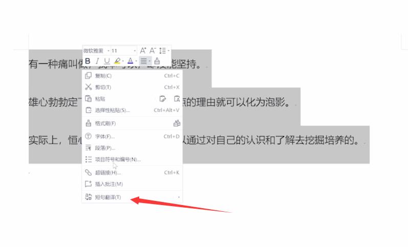 wps怎么翻译英文(2)