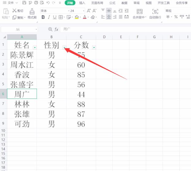 wps怎么设置筛选条件(2)