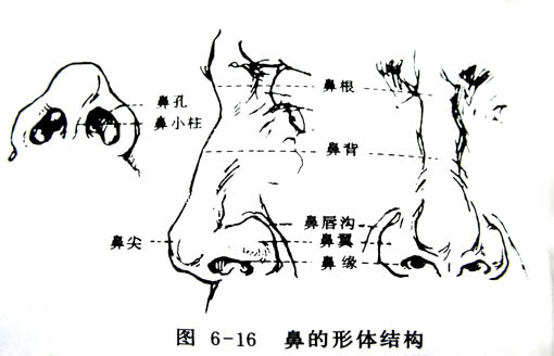 PS鼠绘漂亮的金发模特(14)