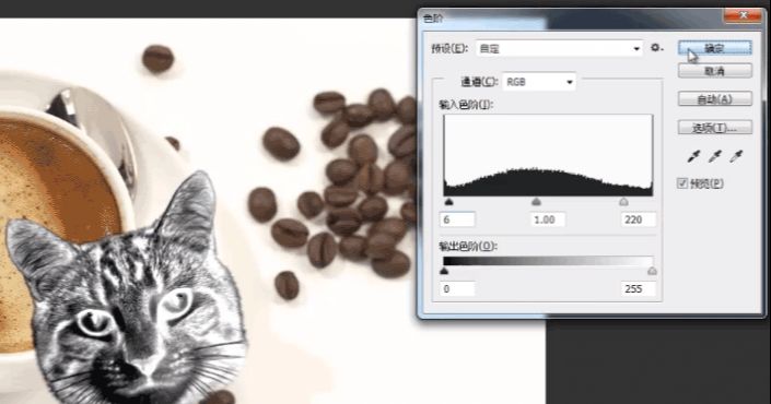 PS合成猫咪拉花图案的咖啡(13)