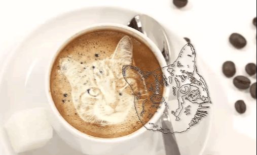 PS合成猫咪拉花图案的咖啡(21)