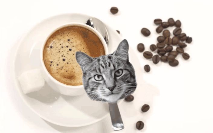 PS合成猫咪拉花图案的咖啡(10)