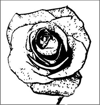 AI怎么制作玫瑰花底纹图(4)