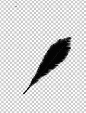 PhotoShop打造舞动的羽毛效果(2)