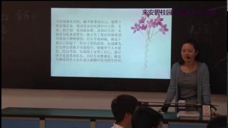 《桃花红 杏花白》优质课评比视频-人音版（简谱）（吴斌主编）初中音乐七年级下册