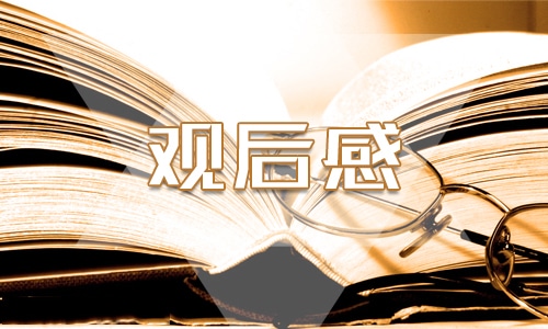 2023初中语文组教学计划