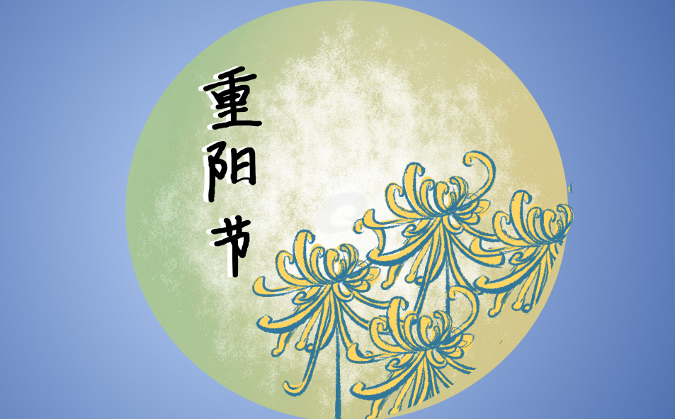 重阳节秋菊的象征寓意