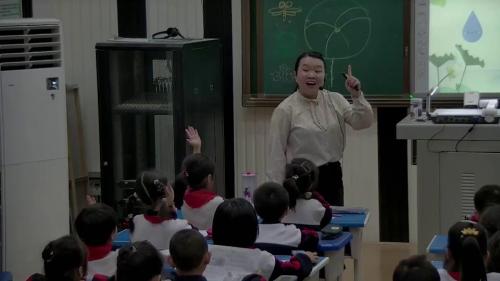 13《荷叶圆圆》部编版语文一年级下册课堂教学视频实录-刘迪