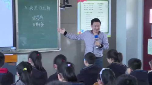 《表里的生物》第2课时-部编版小学语文六年级下册优质课视频-执教老师：王宁