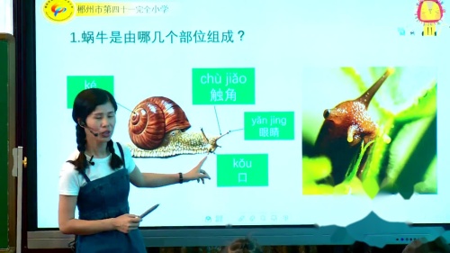 《观察一种动物》教科版一年级下册 获奖教学视频-湖南省小学科学竞赛活动