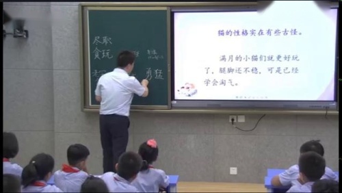 部编版四年级语文下册《猫》名师教学视频-特级教师王林波