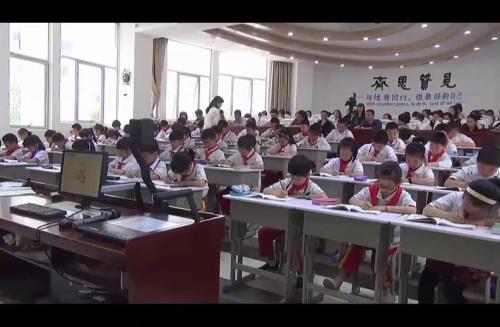 《大象的耳朵》部编版语文二年级下册课堂教学视频实录-执教老师-张晓英