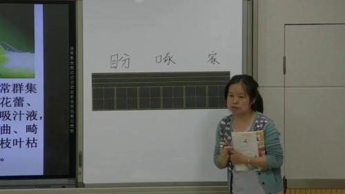 《棉花姑娘》部编版语文一下课堂教学视频实录-执教老师-司新春