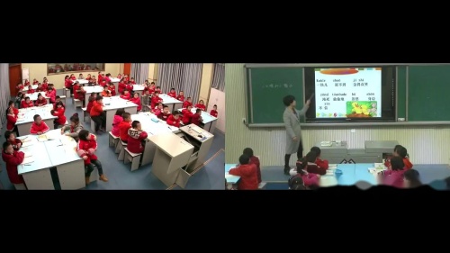 《小公鸡和小鸭子》部编版语文一下课堂教学视频实录-执教老师-向老师